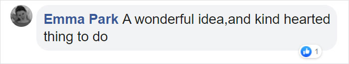 Man Builds A Stick Library For Every Dog At The Park