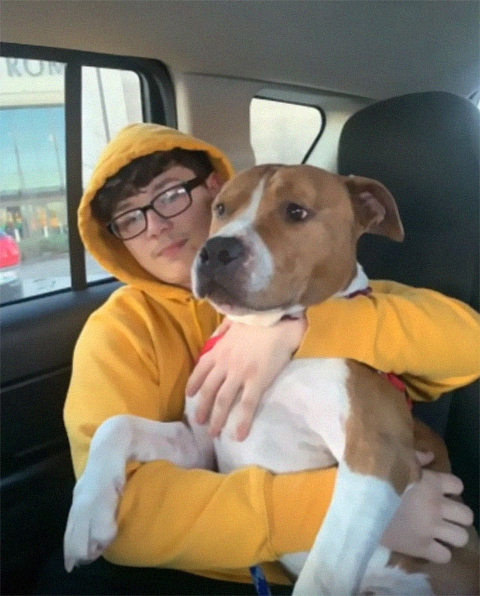 Stolen Pit Bull Found 2,000 Miles Away Returns Home For Christmas With The Help Of 15 Volunteers Stolen Pit Bull Found 2,000 Miles Away Returns Home For Christmas With The Help Of 15 Volunteers