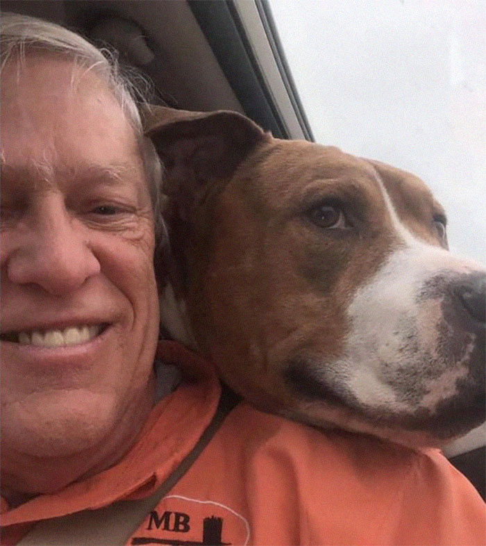 Stolen Pit Bull Found 2,000 Miles Away Returns Home For Christmas With The Help Of 15 Volunteers Stolen Pit Bull Found 2,000 Miles Away Returns Home For Christmas With The Help Of 15 Volunteers