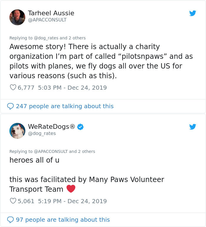 Stolen Pit Bull Found 2,000 Miles Away Returns Home For Christmas With The Help Of 15 Volunteers