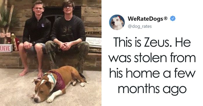 Stolen Pit Bull Found 2,000 Miles Away Returns Home For Christmas With The Help Of 15 Volunteers