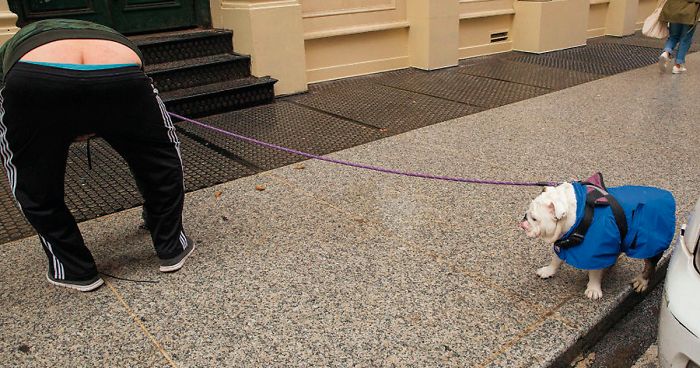 30 Amusing Dog Pics Captured By A Street Photographer Who Is A Pro At Spotting Perfectly Timed Moments