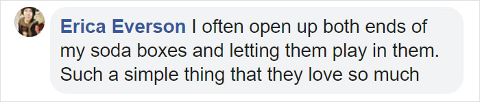 Turns Out, Cats Love Boxes So Much Because They Reduce Stress Turns Out, Cats Love Boxes So Much Because They Reduce Stress