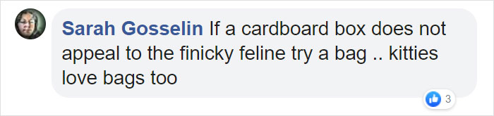 Turns Out, Cats Love Boxes So Much Because They Reduce Stress Turns Out, Cats Love Boxes So Much Because They Reduce Stress