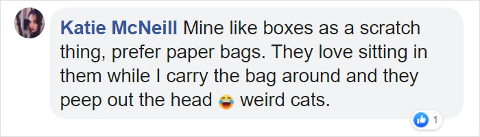 Turns Out, Cats Love Boxes So Much Because They Reduce Stress Turns Out, Cats Love Boxes So Much Because They Reduce Stress