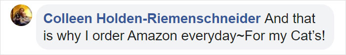 Turns Out, Cats Love Boxes So Much Because They Reduce Stress