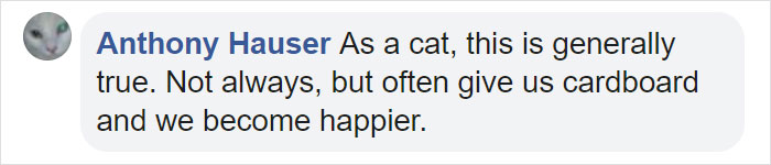 Turns Out, Cats Love Boxes So Much Because They Reduce Stress Turns Out, Cats Love Boxes So Much Because They Reduce Stress