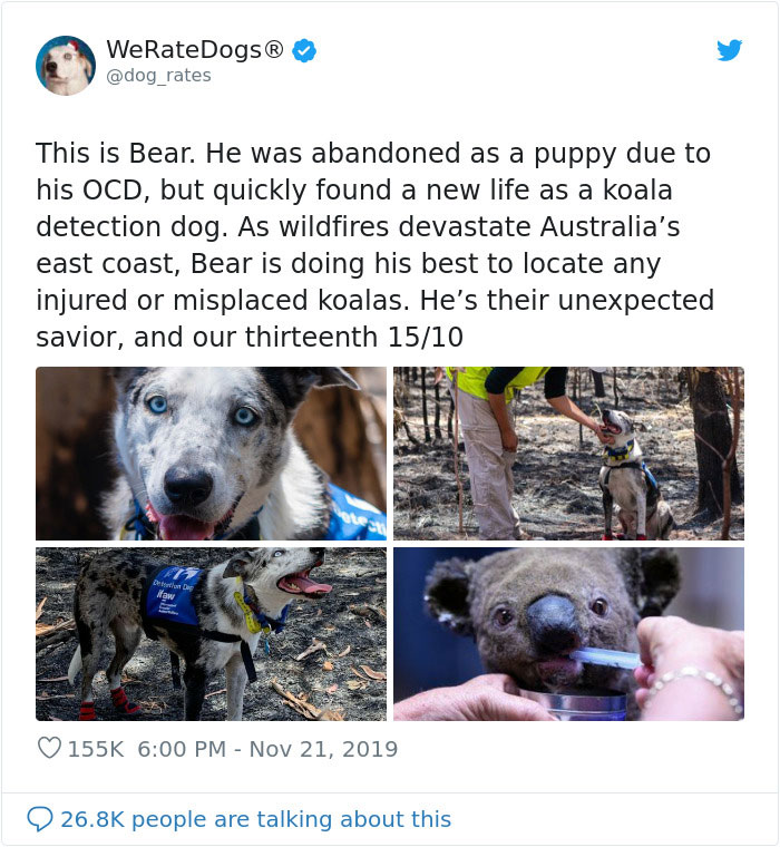 Tom Hanks Reacts To Some Of The Nicest Tweets, And It's What The World Needs Right Now Tom Hanks Reacts To Some Of The Nicest Tweets, And It's What The World Needs Right Now