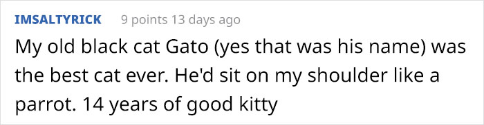 Artist Who's Responsible For Making People Cry With 'Good Boy' And Black Cat Comics Just Released A Sequel