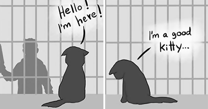 Artist Who’s Responsible For Making People Cry With ‘Good Boy’ And Black Cat Comics Just Released A Sequel