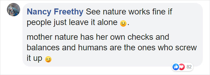 Trail Cam Accidentally Captured The Moment An Opossum Helped A Deer By Picking Ticks Off Its Face