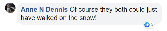 A Security Cam Captures This UPS Delivery Guy Being A Hero And Doing His Best To Deliver What He Has To