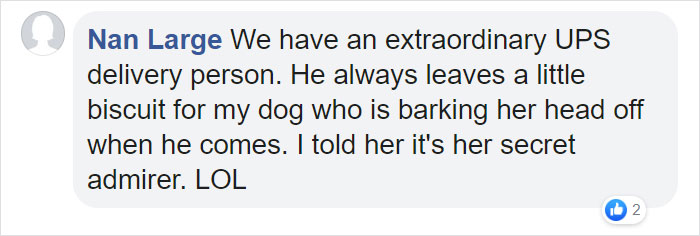 A Security Cam Captures This UPS Delivery Guy Being A Hero And Doing His Best To Deliver What He Has To