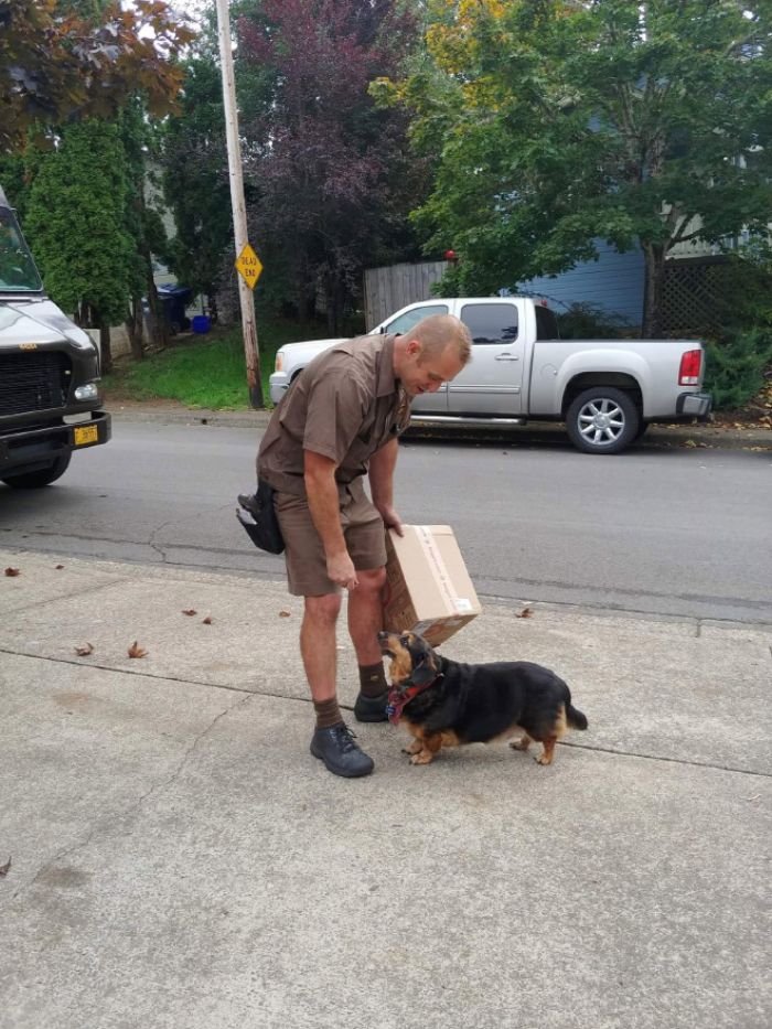 UPS-Drivers-Meets-Animals-Dogs
