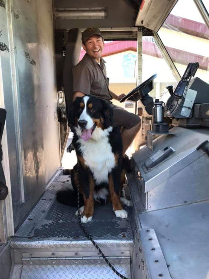 UPS-Drivers-Meets-Animals-Dogs