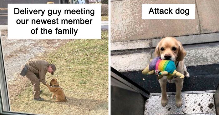 Turns Out, UPS Drivers Have A Facebook Group About Dogs They Meet On Their Routes, And It Will Make Your Day