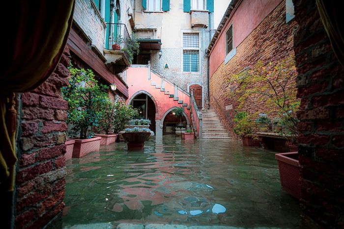 Photographer Spends A Whole Day In Flooded Venice, Captures Just How Different The City Looks (19 Pics) Photographer Spends A Whole Day In Flooded Venice, Captures Just How Different The City Looks (19 Pics)