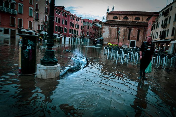 Photographer Spends A Whole Day In Flooded Venice, Captures Just How Different The City Looks (19 Pics) Photographer Spends A Whole Day In Flooded Venice, Captures Just How Different The City Looks (19 Pics)