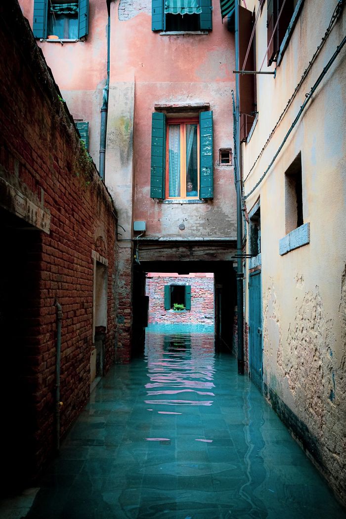 Photographer Spends A Whole Day In Flooded Venice, Captures Just How Different The City Looks (19 Pics) Photographer Spends A Whole Day In Flooded Venice, Captures Just How Different The City Looks (19 Pics)