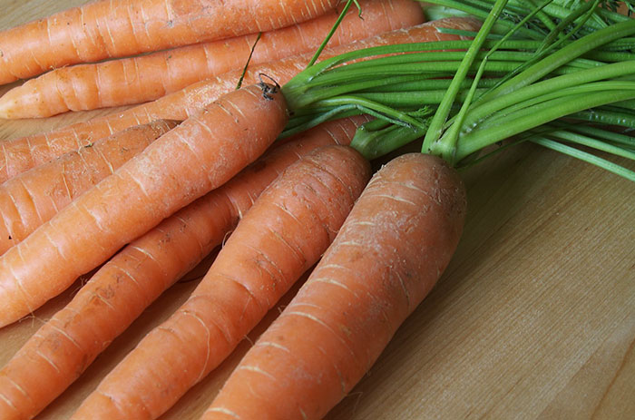 Here Are 8 Pictures Of Fruit And Vegetables Before They Were Domesticated By Humans And After Here Are 8 Pictures Of Fruit And Vegetables Before They Were Domesticated By Humans And After