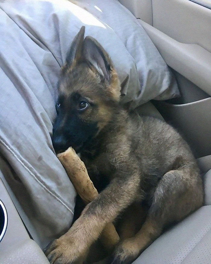 This Is My Stick, There's Many Like This But This One Is Definitely Mine!