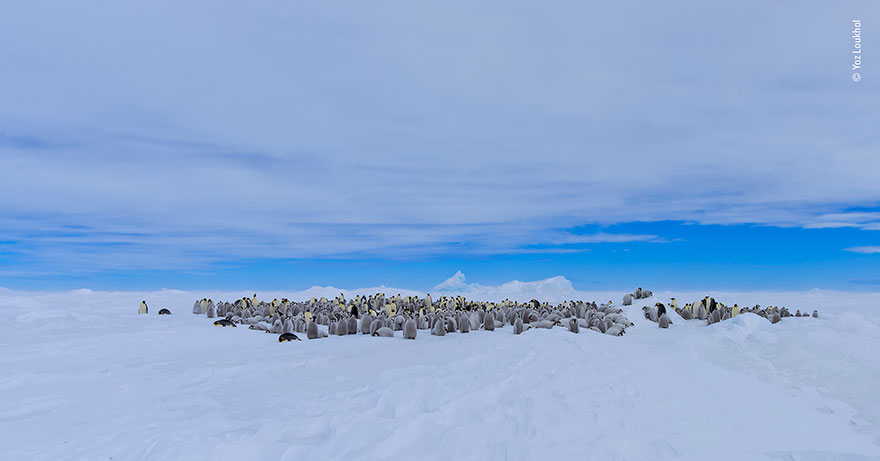 "Meeting Place", Yaz Loukhal, France