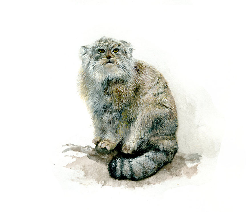 One Of My Realistic Painted Animals For Brno Zoo In The Czech Republic