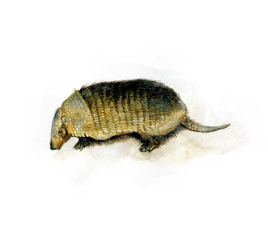 One Of My Realistic Painted Animals For Brno Zoo In The Czech Republic