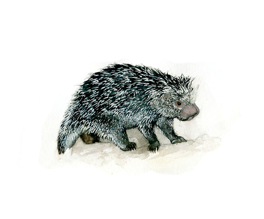 One Of My Realistic Painted Animals For Brno Zoo In The Czech Republic