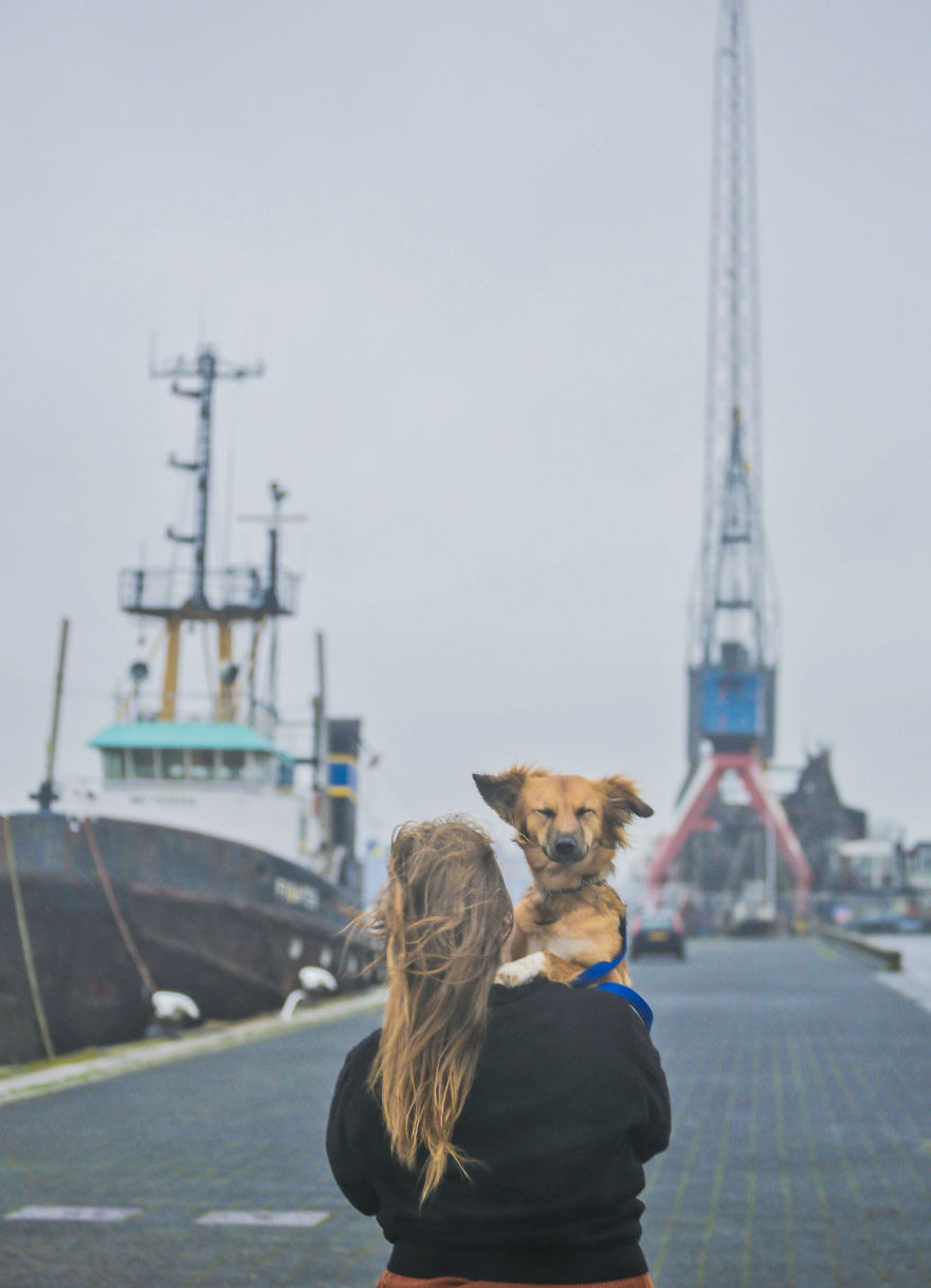 Stormy Rotterdam Harbour