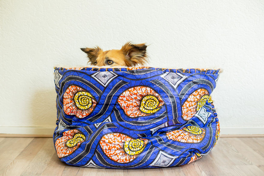 I Designed A 'Fortress' For My Dog Adopted From A Kill Shelter That Helps Dealing With Her Anxiety