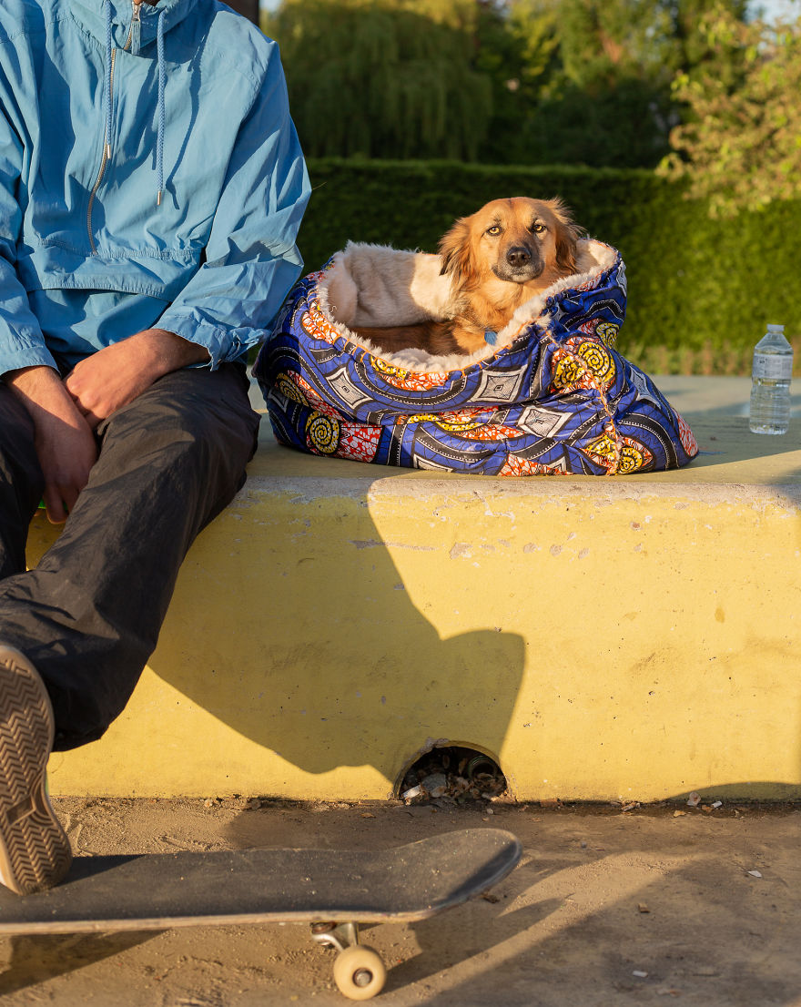 I Designed A 'Fortress' For My Dog Adopted From A Kill Shelter That Helps Dealing With Her Anxiety