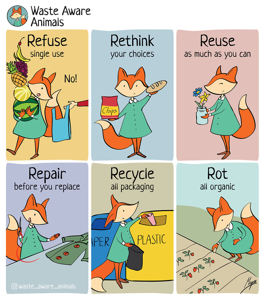 I Create A Comics To Share My Funny Struggle With Zero Waste Living