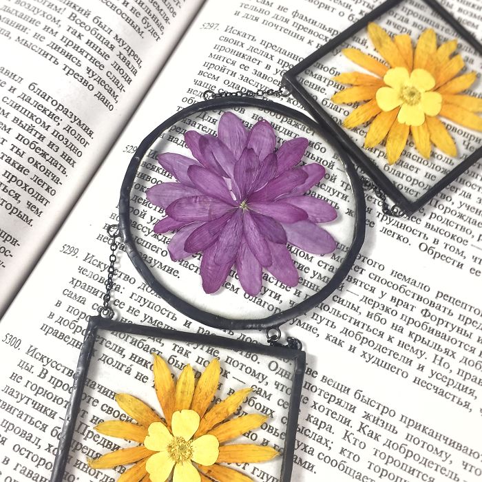 About Two Years Ago, I Picked Up A New Hobby Of Making Flower Herbariums And Here Are My Recent Works