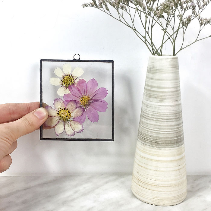 About Two Years Ago, I Picked Up A New Hobby Of Making Flower Herbariums And Here Are My Recent Works