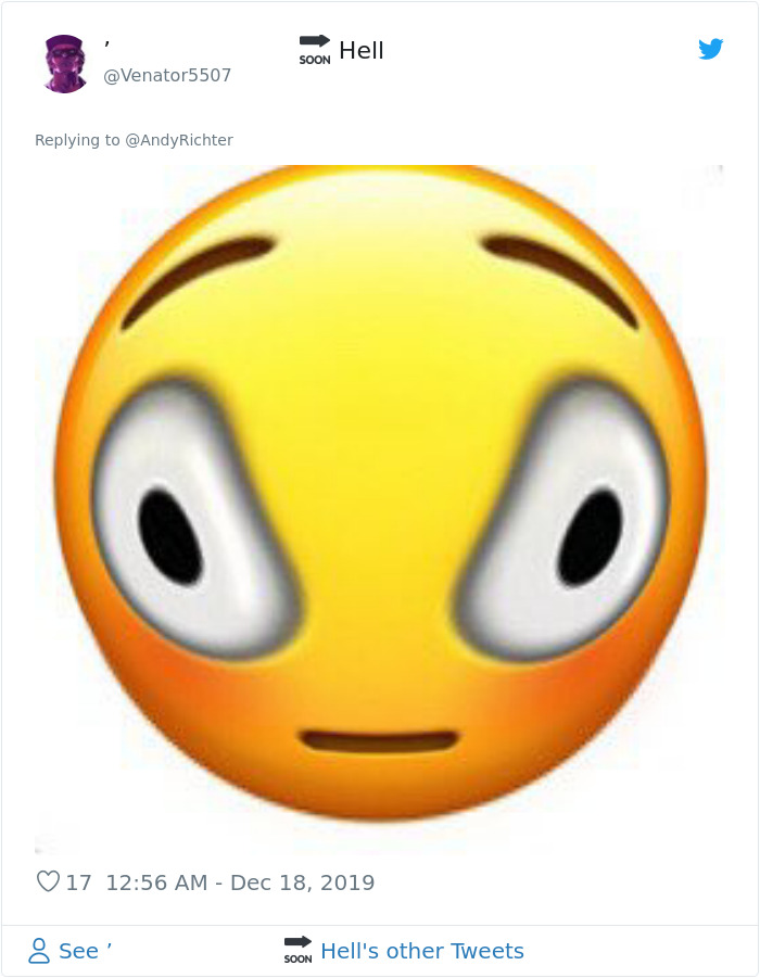 Someone Shows What A Pug's MRI Scan Looks Like And It's Pretty Terrifying