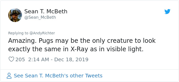 Someone Shows What A Pug's MRI Scan Looks Like And It's Pretty Terrifying