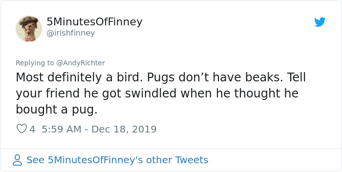Someone Shows What A Pug's MRI Scan Looks Like And It's Pretty Terrifying Someone Shows What A Pug's MRI Scan Looks Like And It's Pretty Terrifying