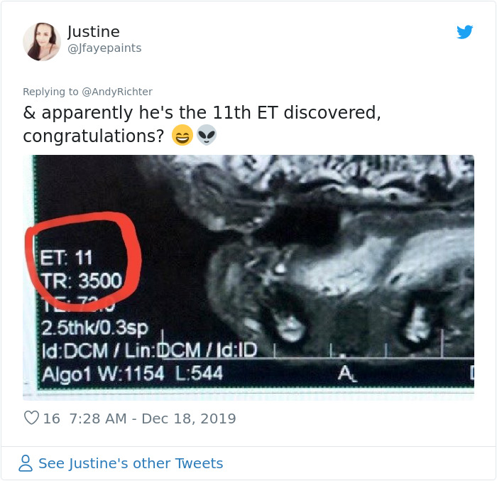 Someone Shows What A Pug's MRI Scan Looks Like And It's Pretty Terrifying