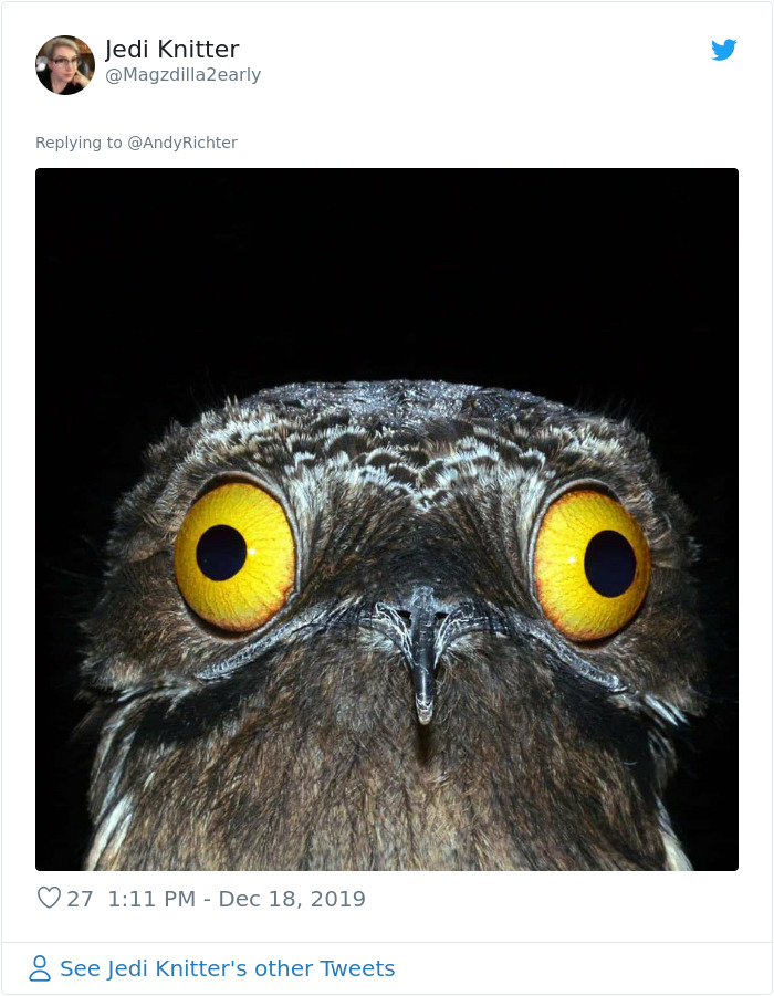 Someone Shows What A Pug's MRI Scan Looks Like And It's Pretty Terrifying Someone Shows What A Pug's MRI Scan Looks Like And It's Pretty Terrifying