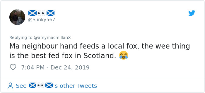 Dad Leaves A Detailed Feeding Schedule To Keep This 'Random' Fox Happy While He's Away, His Daughter Thinks He Lost It Dad Leaves A Detailed Feeding Schedule To Keep This 'Random' Fox Happy While He's Away, His Daughter Thinks He Lost It