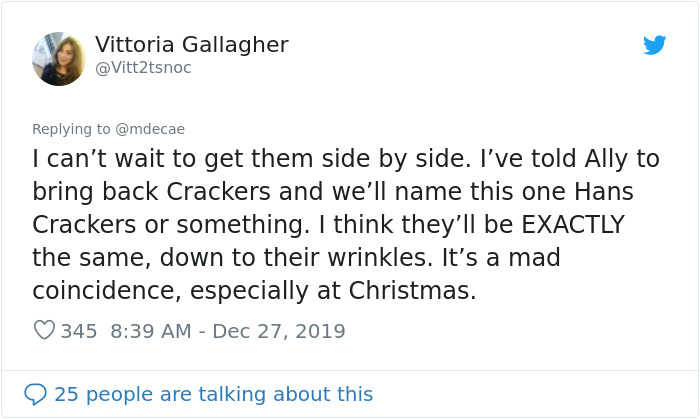 Woman Takes Home Filthy Toy She Found On The Street Thinking It's Hers From 18 Years Ago, Realizes She Made A Mistake Woman Takes Home Filthy Toy She Found On The Street Thinking It's Hers From 18 Years Ago, Realizes She Made A Mistake