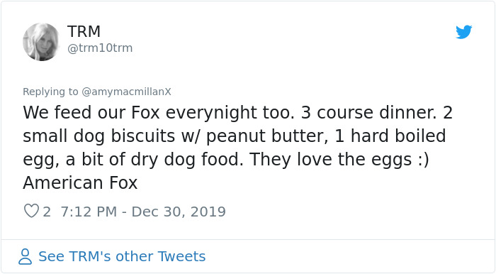 Dad Leaves A Detailed Feeding Schedule To Keep This 'Random' Fox Happy While He's Away, His Daughter Thinks He Lost It