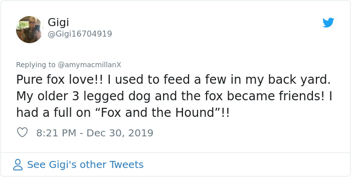 Dad Leaves A Detailed Feeding Schedule To Keep This 'Random' Fox Happy While He's Away, His Daughter Thinks He Lost It