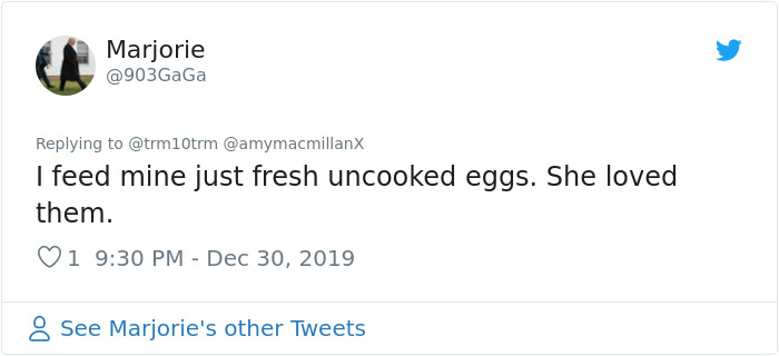 Dad Leaves A Detailed Feeding Schedule To Keep This 'Random' Fox Happy While He's Away, His Daughter Thinks He Lost It Dad Leaves A Detailed Feeding Schedule To Keep This 'Random' Fox Happy While He's Away, His Daughter Thinks He Lost It