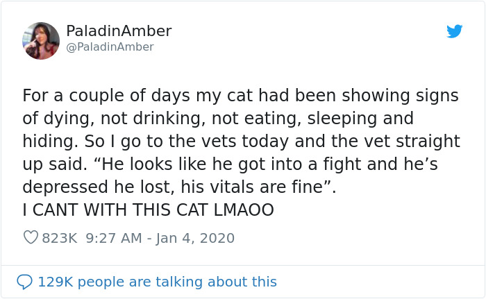 People Are Sharing Hilarious Stories About The Times They Thought Their Pets Were Dying