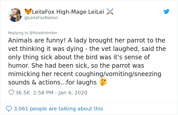 People Are Sharing Hilarious Stories About The Times They Thought Their Pets Were Dying People Are Sharing Hilarious Stories About The Times They Thought Their Pets Were Dying