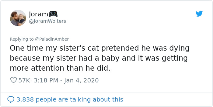 People Are Sharing Hilarious Stories About The Times They Thought Their Pets Were Dying People Are Sharing Hilarious Stories About The Times They Thought Their Pets Were Dying