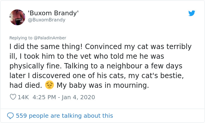 People Are Sharing Hilarious Stories About The Times They Thought Their Pets Were Dying People Are Sharing Hilarious Stories About The Times They Thought Their Pets Were Dying