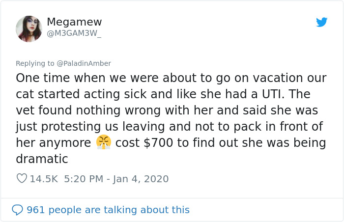 People Are Sharing Hilarious Stories About The Times They Thought Their Pets Were Dying People Are Sharing Hilarious Stories About The Times They Thought Their Pets Were Dying